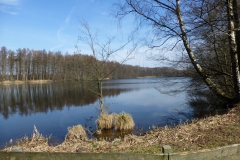 Lohmühle